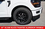 2025 Ford F-150 SuperCrew Cab 4x2 Pickup for sale #91782 - photo 19