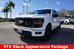 2025 Ford F-150 SuperCrew Cab 4x2 Pickup for sale #91782 - photo 29