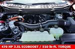 2025 Ford F-150 SuperCrew Cab 4x4 Pickup for sale #91828 - photo 23
