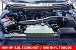 New 2025 Ford F-150 XLT SuperCrew Cab 4WD Pickup for sale #91901 - photo 26
