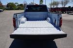 2025 Ford F-150 SuperCrew Cab 4x2 Pickup for sale #91982 - photo 24