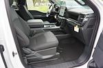 2025 Ford F-150 SuperCrew Cab 4x2 Pickup for sale #92021 - photo 4