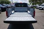 2025 Ford F-150 SuperCrew Cab 4x4 Pickup for sale #92029 - photo 20