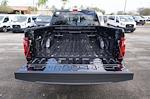 2025 Ford F-150 SuperCrew Cab 4x4 Pickup for sale #92088 - photo 19