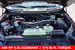 2025 Ford F-150 SuperCrew Cab 4x4 Pickup for sale #92093 - photo 12