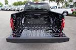 2025 Ford F-150 SuperCrew Cab 4x2 Pickup for sale #92100 - photo 25