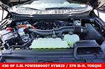 2025 Ford F-150 SuperCrew Cab 4x4 Pickup for sale #92101 - photo 22