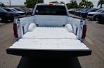 2025 Ford F-150 SuperCrew Cab 4x4 Pickup for sale #92129 - photo 29