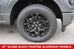 2025 Ford F-150 SuperCrew Cab 4x2 Pickup for sale #92154 - photo 18