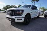 2025 Ford F-150 SuperCrew Cab 4x2 Pickup for sale #92271 - photo 29