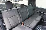 New 2025 Ford F-150 STX SuperCrew Cab 4x4 Pickup for sale #92278 - photo 27