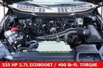 2025 Ford F-150 SuperCrew Cab 4x4 Pickup for sale #92520 - photo 12