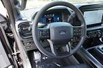 2025 Ford F-150 SuperCrew Cab 4x4 Pickup for sale #92520 - photo 24