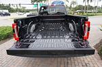 New 2025 Ford F-350 Platinum Crew Cab 4WD DRW Pickup for sale #92559 - photo 15