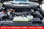 2025 Ford F-150 SuperCrew Cab 4WD Pickup for sale #92655 - photo 8