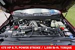 New 2026 Ford F-350 XLT Crew Cab 4WD DRW Pickup for sale #93077 - photo 14