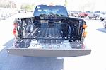 New 2025 Ford F-150 Lightning XLT SuperCrew Cab for sale #93604 - photo 19