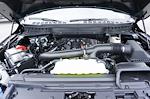 New 2026 Ford F-150 King Ranch SuperCrew Cab for sale #93656 - photo 17