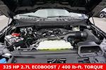 New 2026 Ford F-150 STX SuperCrew Cab for sale #93677 - photo 17