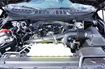 New 2026 Ford F-150 XLT SuperCrew Cab for sale #93684 - photo 20