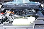 New 2026 Ford F-150 XLT SuperCrew Cab for sale #93691 - photo 13