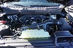 New 2026 Ford F-150 STX SuperCrew Cab for sale #93703 - photo 17