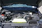 New 2026 Ford F-150 XLT SuperCrew Cab for sale #93737 - photo 15
