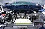 New 2026 Ford F-150 XL Regular Cab for sale #93745 - photo 9