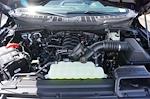 New 2026 Ford F-150 XL Regular Cab for sale #93795 - photo 8