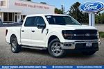 2024 Ford F-150 SuperCrew Cab RWD, Pickup for sale #2244416 - photo 1