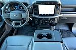 2024 Ford F-150 Regular Cab RWD, Pickup for sale #244659 - photo 11