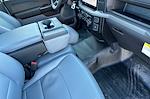 2024 Ford F-150 Regular Cab RWD, Pickup for sale #244659 - photo 14