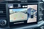 New 2025 Ford F-150 Platinum SuperCrew Cab 4WD Pickup for sale #254893 - photo 16