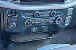 New 2025 Ford F-150 XL Regular Cab Pickup for sale #255033 - photo 18