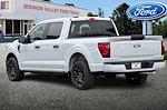 2025 Ford F-150 SuperCrew Cab RWD Pickup for sale #255082 - photo 5