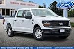 2025 Ford F-150 SuperCrew Cab RWD Pickup for sale #255163 - photo 1