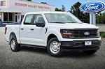 2025 Ford F-150 SuperCrew Cab RWD Pickup for sale #255163 - photo 3