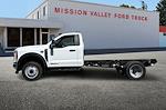 2024 Ford F-450 Regular Cab DRW RWD, Cab Chassis for sale #424905 - photo 6