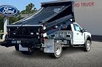 2024 Ford F-450 Regular Cab DRW RWD, Dump Truck for sale #424916 - photo 2