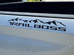 2019 Chevrolet Silverado 1500 Crew Cab 4WD Pickup for sale #PL16975A - photo 12