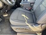 2024 Chevrolet Silverado 1500 Crew Cab RWD Pickup for sale #Z313672A - photo 18
