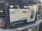 New 2025 Ford F-150 XLT SuperCrew Cab 4x4 Pickup for sale #00050648 - photo 13
