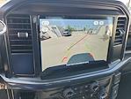 New 2025 Ford F-150 STX SuperCrew Cab 4x4 Pickup for sale #00050652 - photo 12