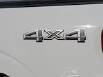 New 2025 Ford F-150 STX SuperCrew Cab 4x4 Pickup for sale #00050686 - photo 24