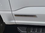 New 2025 Ford F-150 XLT SuperCrew Cab 4x4 Pickup for sale #00050699 - photo 25