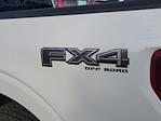 2025 Ford F-150 SuperCrew Cab 4x4 Pickup for sale #00050703 - photo 25