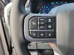 2025 Ford F-150 SuperCrew Cab 4x4 Pickup for sale #00050703 - photo 6