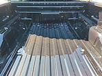 2025 Ford F-150 SuperCrew Cab 4x2 Pickup for sale #00050715 - photo 22