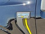 2025 Ford F-150 SuperCrew Cab 4x2 Pickup for sale #00050715 - photo 24