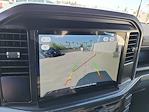 2025 Ford F-150 SuperCrew Cab 4x4 Pickup for sale #00050721 - photo 13